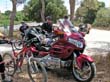 SANY8118