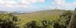 panorama1