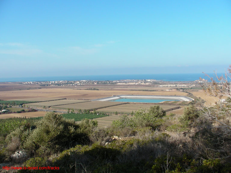 SANY0833