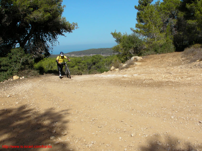 SANY0904