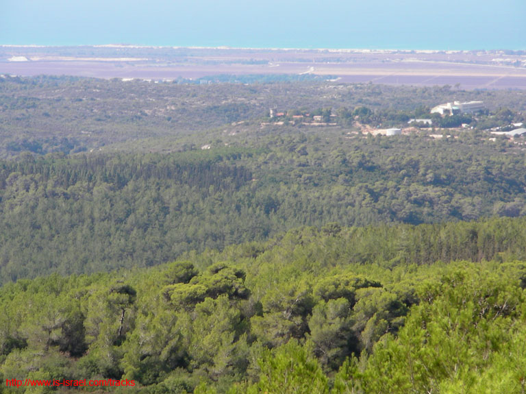 SANY0908