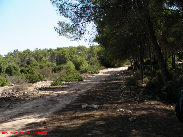 SANY0931