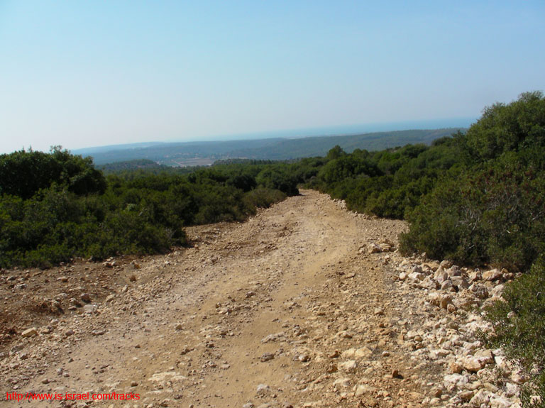 SANY0939