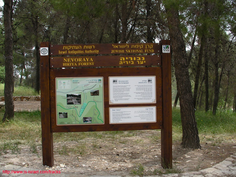 SANY7139