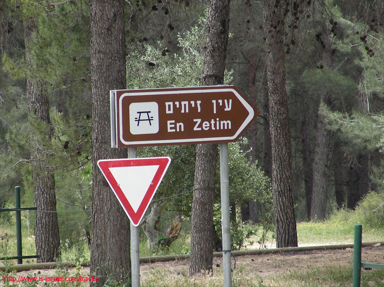SANY7176