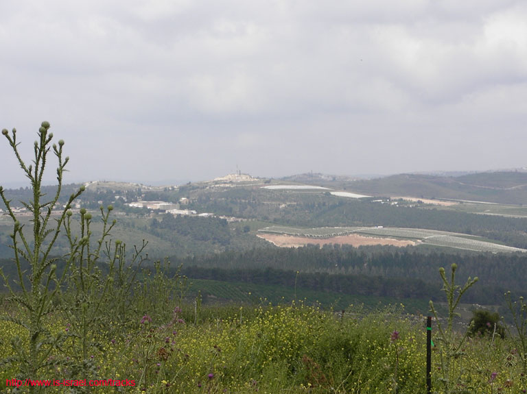 SANY7207
