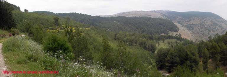 panorama1