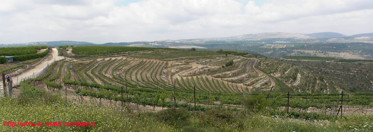 panorama3