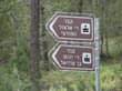 SANY7167