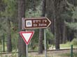 SANY7176