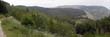 panorama1