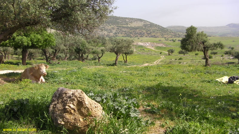 SANY0033