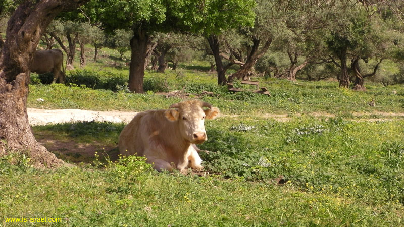 SANY0036