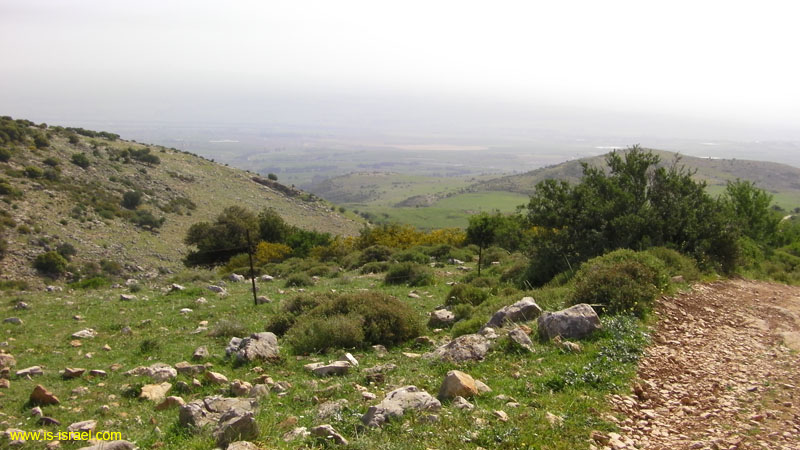 SANY0043