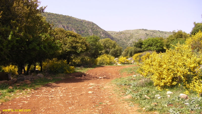 SANY0044