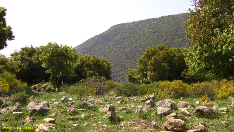 SANY0045