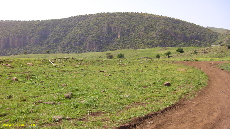 SANY0068