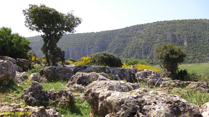 SANY0081