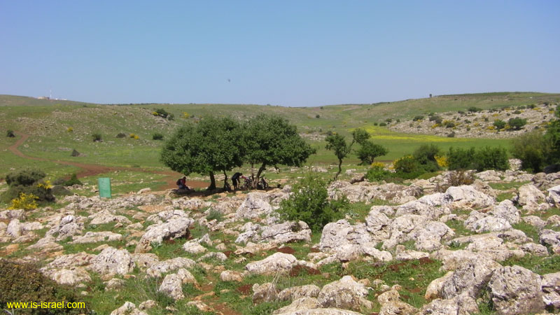 SANY0087