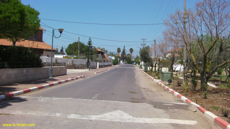 SANY0095
