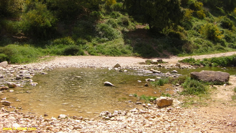 SANY0112