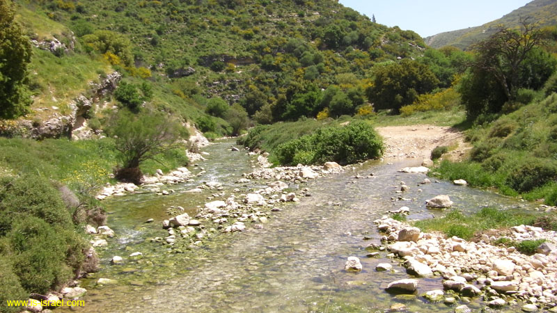 SANY0153