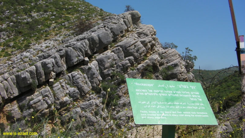 SANY0168
