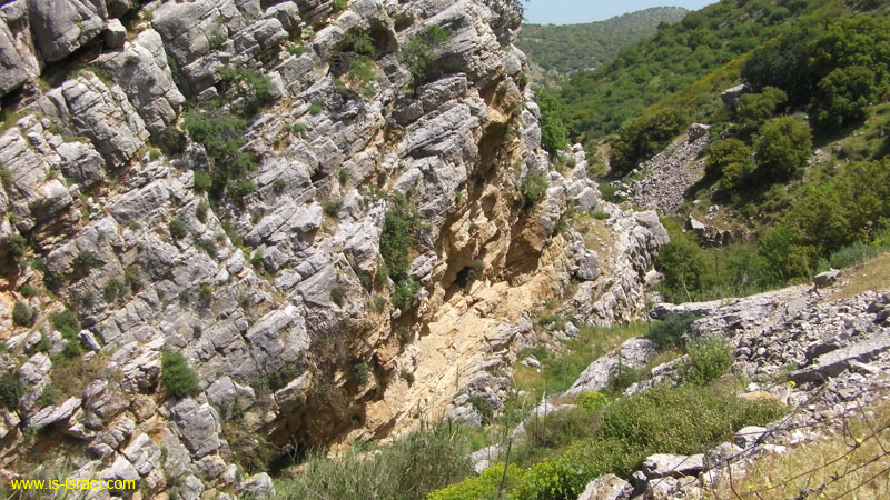 SANY0169