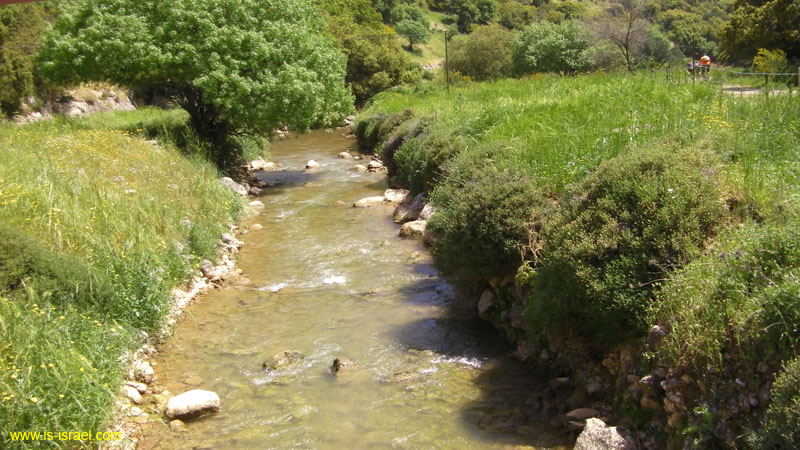 SANY0188