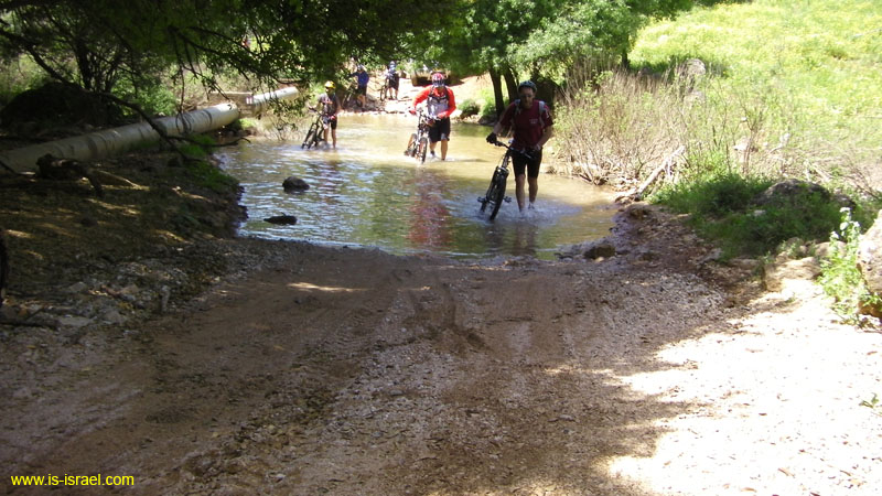 SANY0195