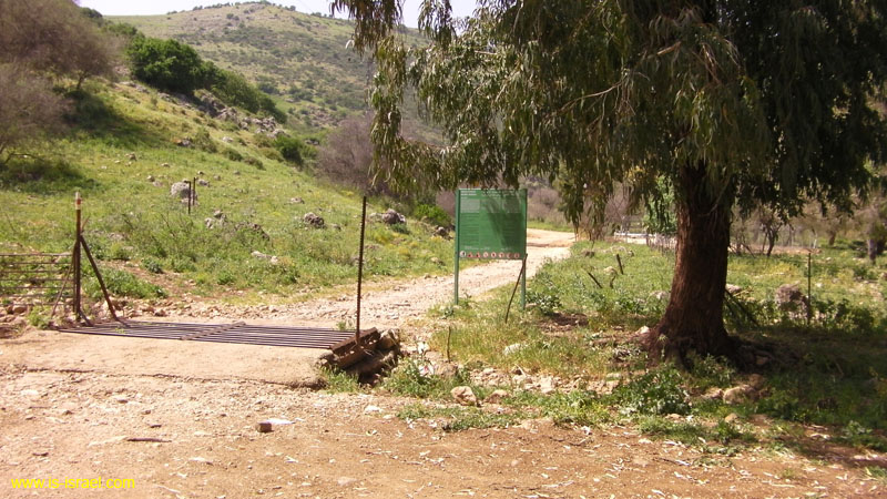 SANY0201