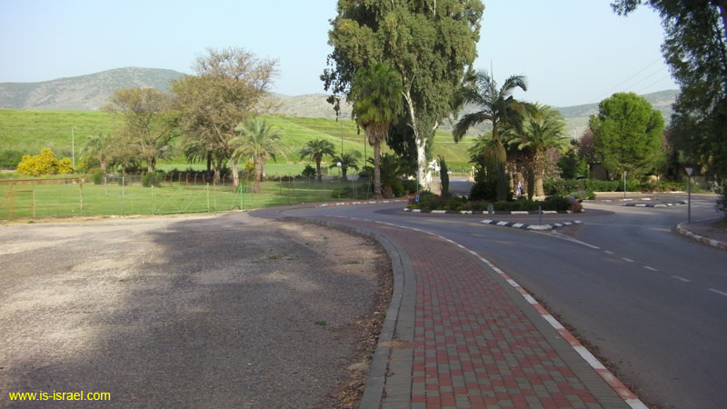 SANY0968