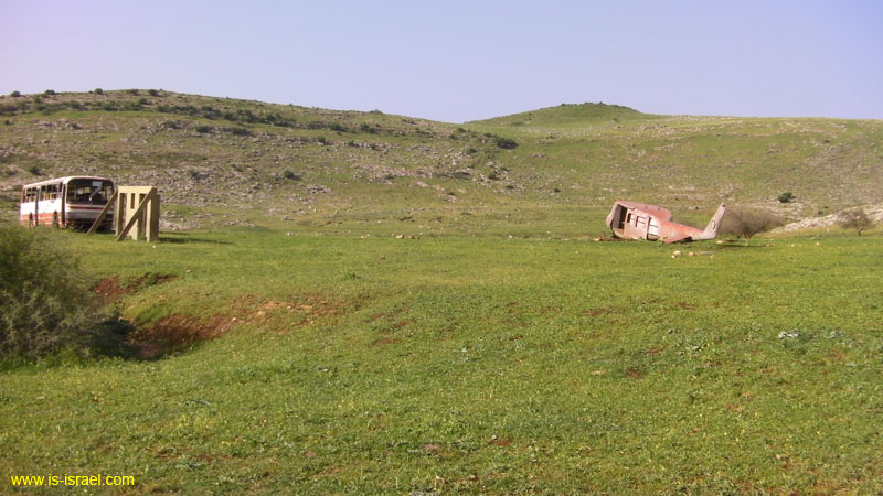 SANY0993