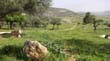 SANY0033