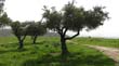 SANY0034