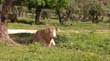 SANY0036