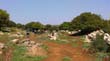 SANY0062