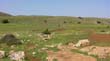 SANY0074