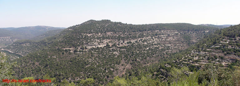 panorama1