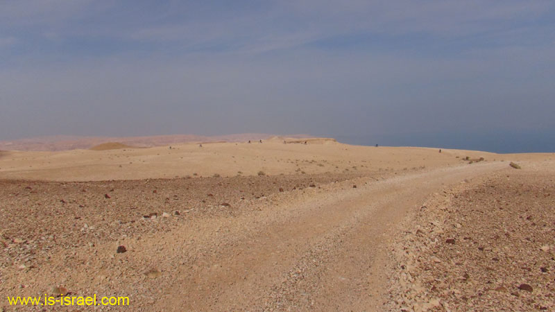 DSC03605
