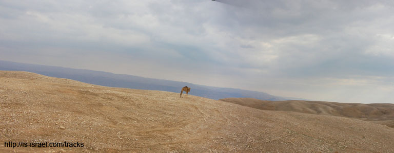 panorama11