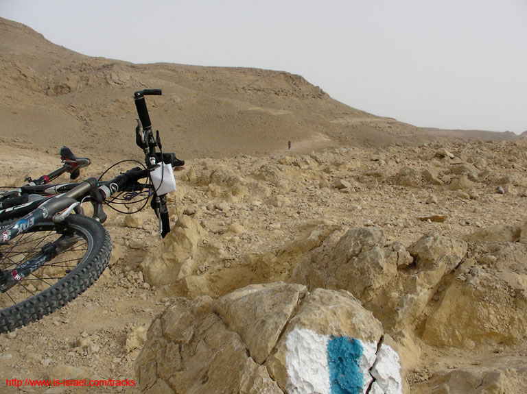 SANY5790
