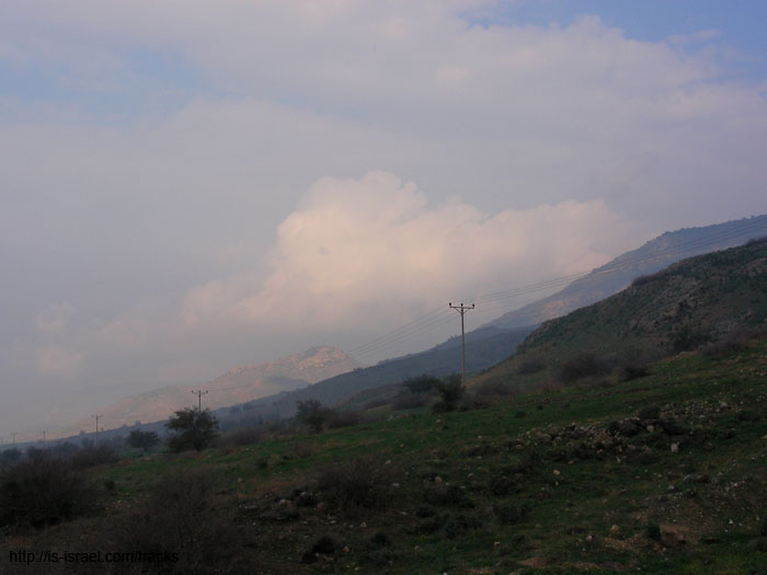 SANY2198