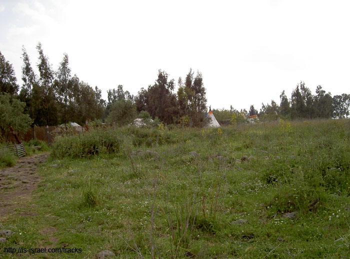 PICT8012