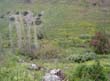 PICT7894