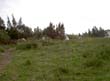 PICT8012
