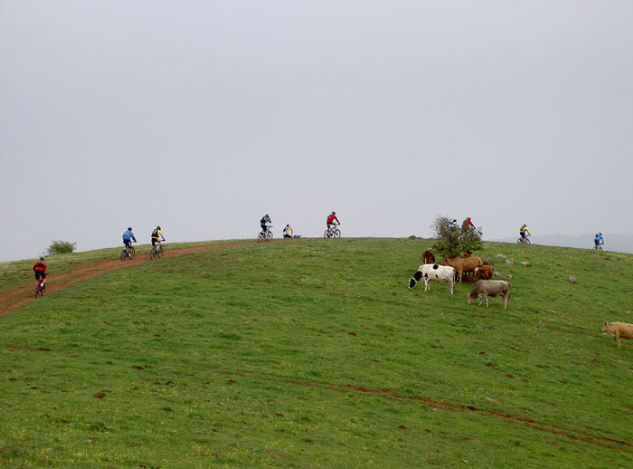 PICT5273