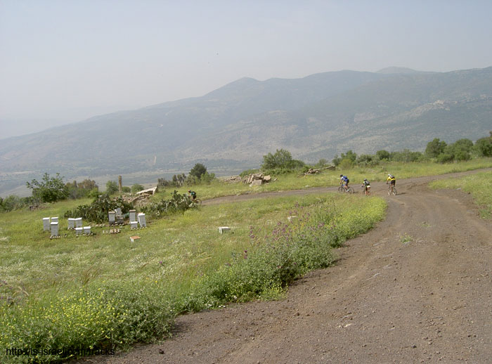 PICT5741