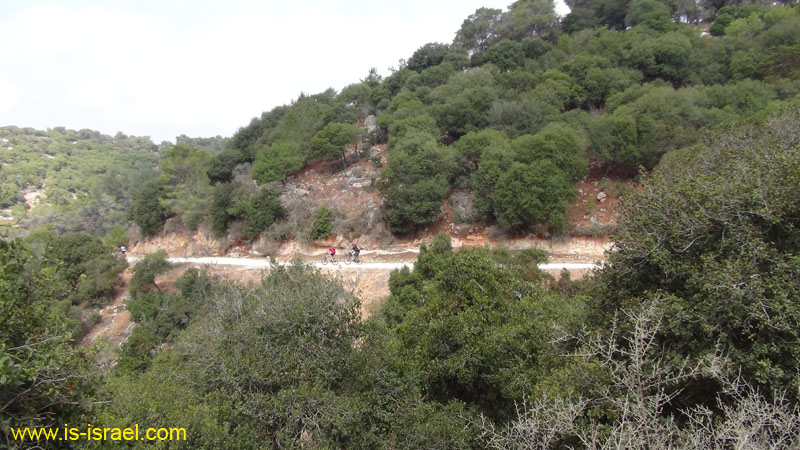 DSC07301