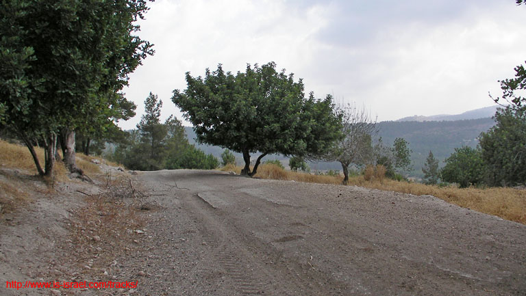 SANY0169